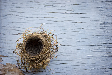Naklejka premium Bird nest on weathered wood