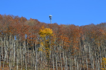 Wei&szlig;enstein, Lauterstein, Turm, Herbst
