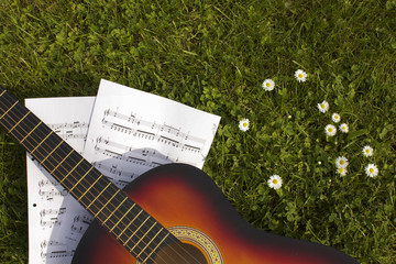 Fototapeta premium Gitarre im Gras