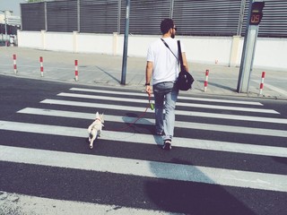 man with him dog crossing street