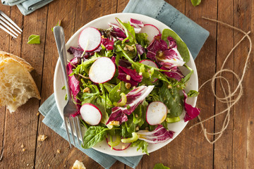 Healthy Homemade Herb Salad