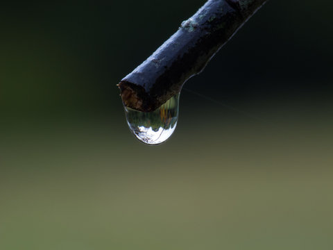 Refractive Raindrop