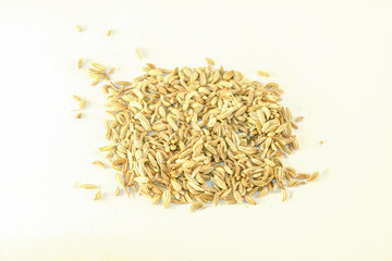 Fennel seed