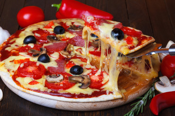 Pizza slice with melted cheese on lifter