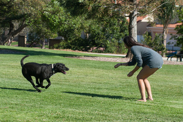 She entices the dog with a yummy treat