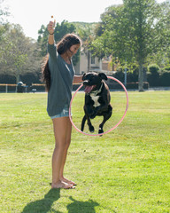 Girl teaching her Labrador puppy to jump through hoop