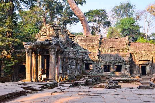 Ta Prohm temple illuminated by early morning light.