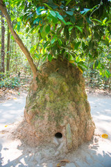 HOJIMIN City, Vietnam Mar 17:: ventilator on the rock from the V