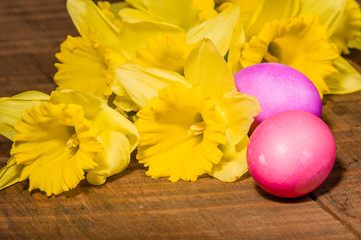 Obraz na płótnie Canvas Yellow daffodils with dyed eggs