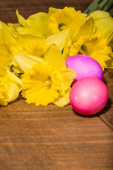 Yellow daffodils with dyed eggs
