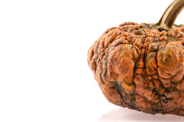 Ripe orange pumpkin on white background