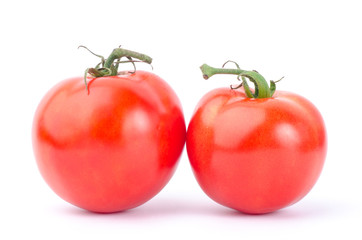 Fresh tomatoes on white background
