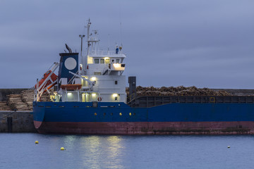 Fototapeta premium Barco atracado