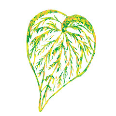 beautiful colored hand-drawn leaves on a white background