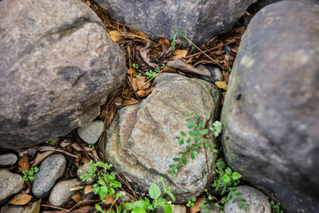Rock and gravel