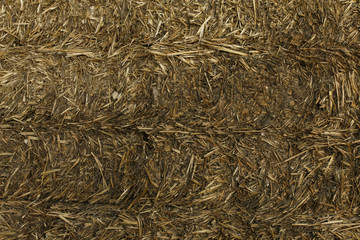 Hay bale background