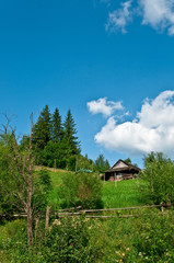 Summer mountain landscape