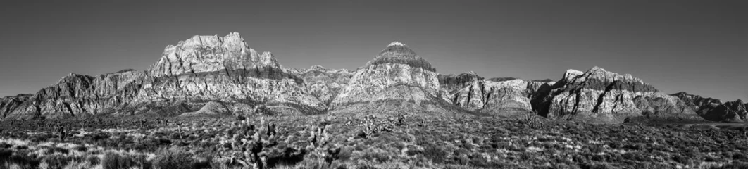 Gordijnen Red Rock Canyon High Resolution Panorama © nstanev