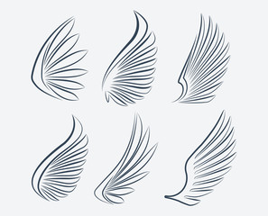 Set of six outlined stroke vector wings