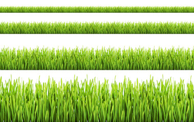 Grass