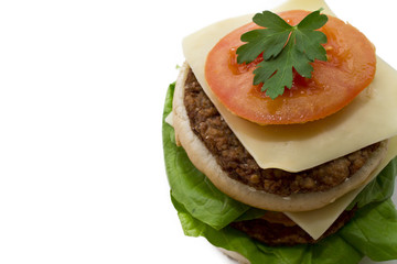 burger isolated