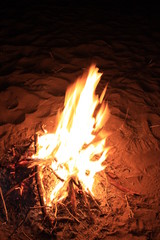 feu de bois
