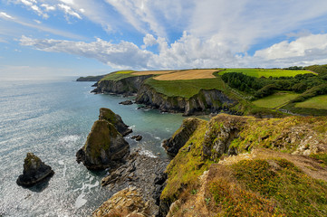 Irlandia, wysokie klify © janmiko