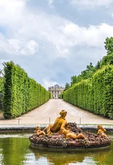 Photo sur Plexiglas Fontaine fontaine de flore dans le jardin de château de Versailles, France