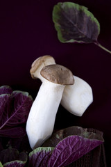 Eryngii mushroom and spinach