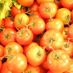 Group of tomatoes