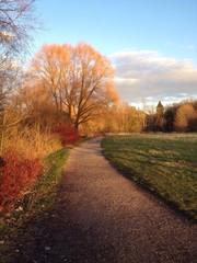 Weg Herbstsonne