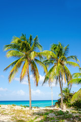 Amazing sandy beach with palm trees, azure Caribbean Sea