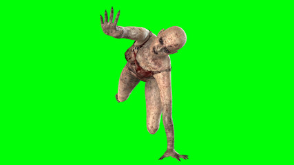 Fototapeta premium Walking dead zombie woman isolated on green screen