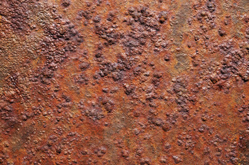 Rost
