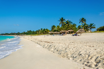 Amazing sandy beach with palm trees, azure Caribbean Sea