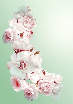 Beautiful vertical frame with a bouquet of white roses