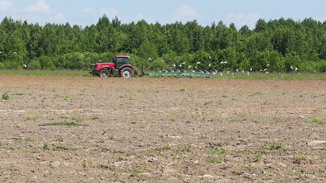 Agriculture tractor ploughing soil sping field