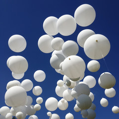 White balloons in the sky