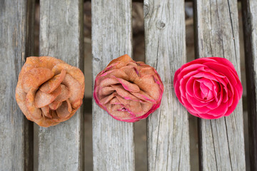 美しい花と萎れた花