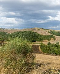 Crete Senesi (Tuscany, Italy)