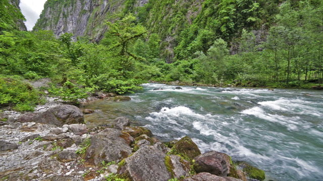 River in Caucasus mountains forest, near lake Ritsa, Abkhazia