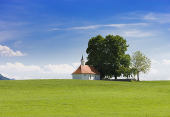 Frühlingswiese in Bayern