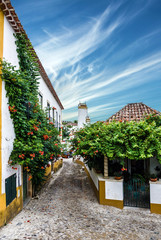 Fototapeta na wymiar Narrow streets of old town Obidos, Portugal
