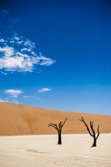Fototapeta na wymiar Deadvlei, Sossusvlei,Namibia