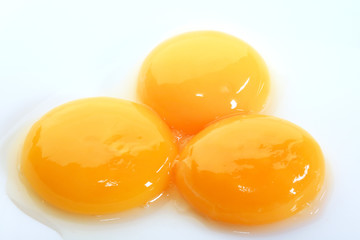 egg yolks