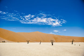 Deadvlei, Sossusvlei,Namibia