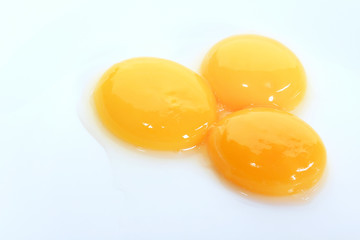 egg yolks