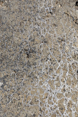 concrete texture