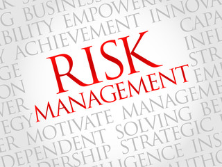 Risk Management word cloud, business concept