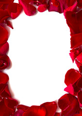 Frame made of Rose Petals